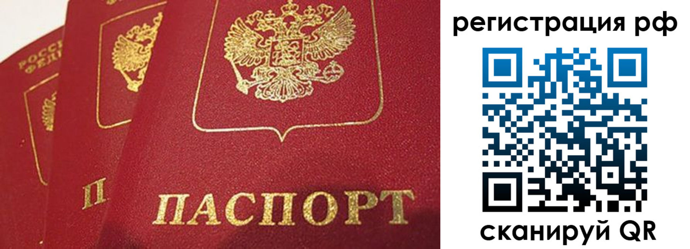 прописка в квартире в Ельне