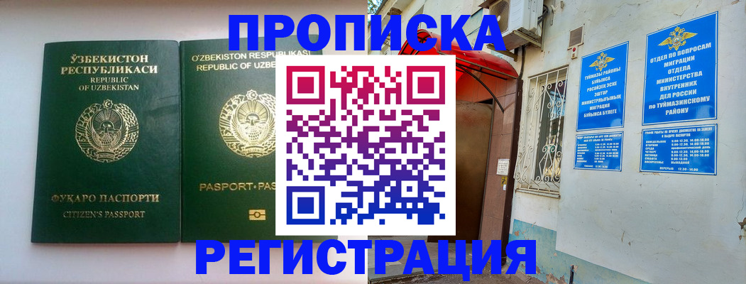 где прописаться в Ельне